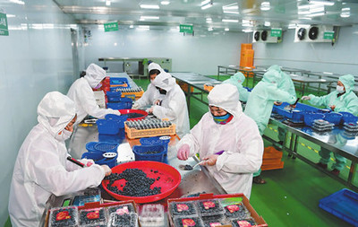 玉溪市人民政府推動食品互聯(lián)網(wǎng)銷售發(fā)展策略與成效